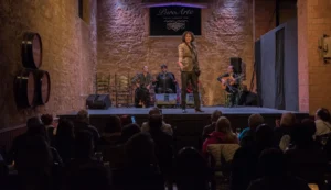Tablao Flamenco Jerez | Tablao Puro Arte