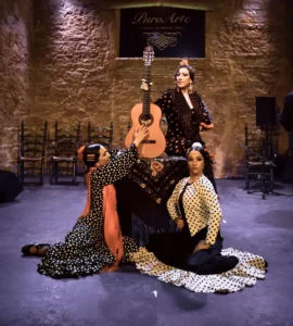 Tablao Flamenco Jerez | Tablao Puro Arte