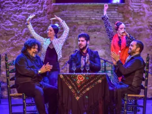 Tablao Flamenco Jerez | Tablao Puro Arte