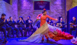 Tablao Flamenco Jerez | Tablao Puro Arte