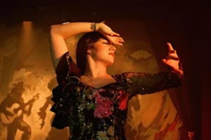 Tablao Ópera Flamenca | Flamenco Madrid