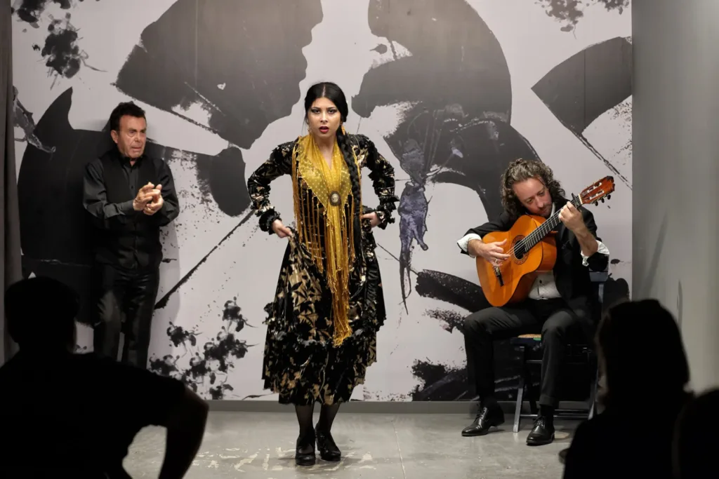 曾是塞维利亚弗拉门戈交流中心的Centro Flamenco de Sevilla
